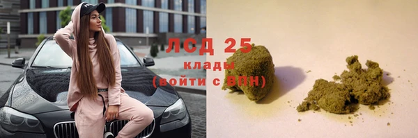 винт Алзамай