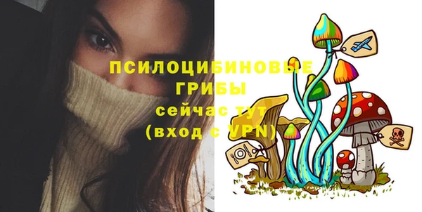 винт Алзамай