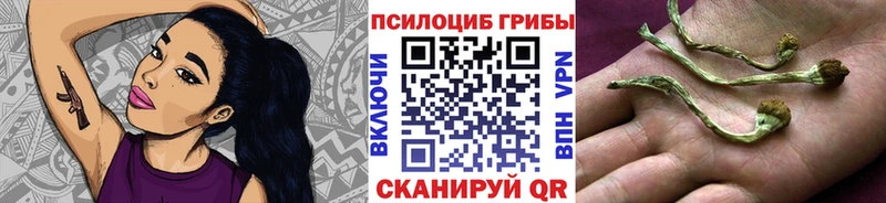 Галлюциногенные грибы Psilocybine cubensis  кракен   Сосенский 